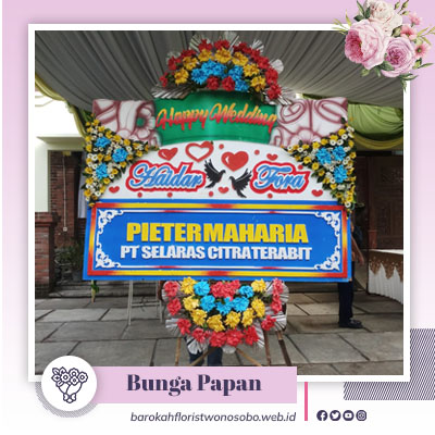 toko bunga wonosobo Barokah Florist, Barokah Florist Wonosobo, buket bunga wonosobo, bunga papan harga murah wonosobo, bunga papan murah wonosobo, bunga papan terdekat wonosobo, bunga papan termurah wonosobo, bunga papan wonosobo, bunga papan wonosobo murah, bunga papan wonosobo termurah, harga bunga papan wonosobo, jasa bunga papan wonosobo, jual bunga papan di wonosobo, jual bunga papan murah wonosobo, jual bunga papan terdekat wonosobo, jual bunga papan wonosobo, Karangan Bunga Harga Murah Wonosobo, karangan bunga wonosobo, rangkaian bunga wonosobo, standing flowers wonosobo, toko bunga di Wonosobo, toko bunga harga murah wonosobo, toko bunga murah wonosobo, Toko Bunga Online Wonosobo, Toko Bunga Papan Wonosobo, toko bunga terbaik wonosobo, toko bunga terdekat wonosobo, toko bunga terlengkap wonosobo, Toko Bunga Termurah Wonosobo, toko bunga wonosobo, toko bunga wonosobo harga murah, toko bunga wonosobo terbaik, toko bunga wonosobo termurah