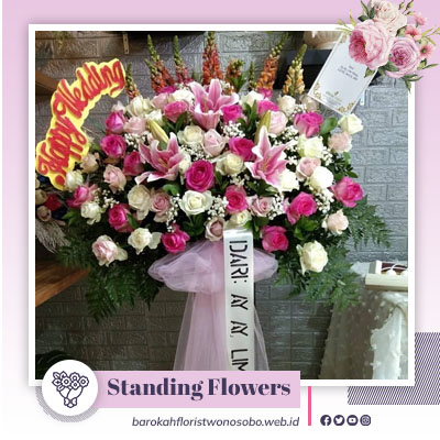 toko bunga wonosobo Barokah Florist, Barokah Florist Wonosobo, buket bunga wonosobo, bunga papan harga murah wonosobo, bunga papan murah wonosobo, bunga papan terdekat wonosobo, bunga papan termurah wonosobo, bunga papan wonosobo, bunga papan wonosobo murah, bunga papan wonosobo termurah, harga bunga papan wonosobo, jasa bunga papan wonosobo, jual bunga papan di wonosobo, jual bunga papan murah wonosobo, jual bunga papan terdekat wonosobo, jual bunga papan wonosobo, Karangan Bunga Harga Murah Wonosobo, karangan bunga wonosobo, rangkaian bunga wonosobo, standing flowers wonosobo, toko bunga di Wonosobo, toko bunga harga murah wonosobo, toko bunga murah wonosobo, Toko Bunga Online Wonosobo, Toko Bunga Papan Wonosobo, toko bunga terbaik wonosobo, toko bunga terdekat wonosobo, toko bunga terlengkap wonosobo, Toko Bunga Termurah Wonosobo, toko bunga wonosobo, toko bunga wonosobo harga murah, toko bunga wonosobo terbaik, toko bunga wonosobo termurah